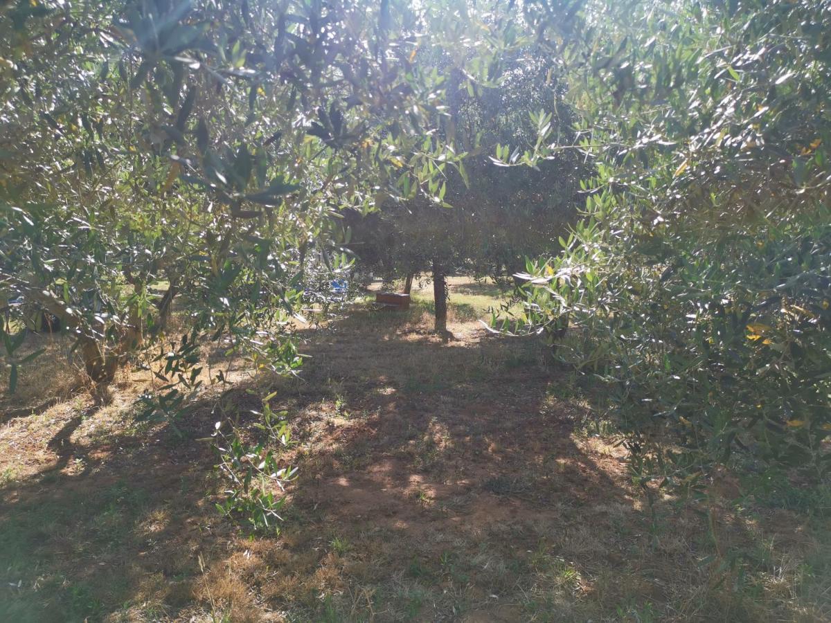 Jacuzi Cottage In The Olive Grove Pola Esterno foto