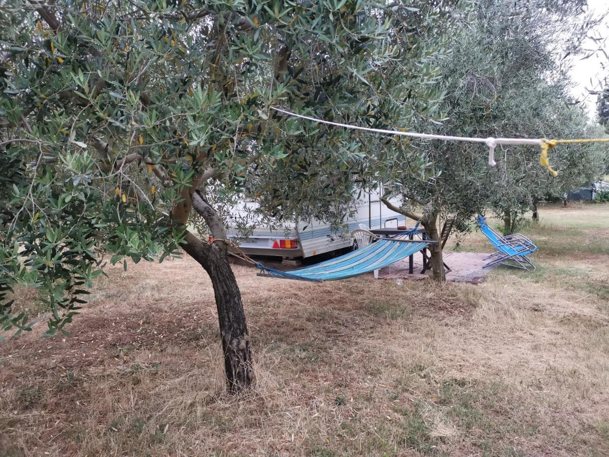 Jacuzi Cottage In The Olive Grove Pola Esterno foto