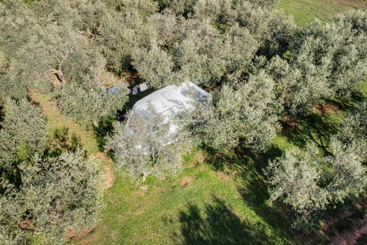 Jacuzi Cottage In The Olive Grove Pola Esterno foto